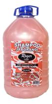 Shampoo Para Cabelos Lavatório Roger 5 Litros