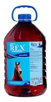 Shampoo Para Cavalos Rex Galloper - Galão 5 Litros - LOOKFARM