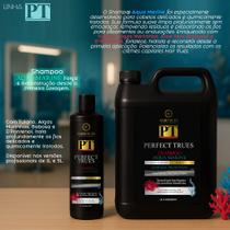 Shampoo Perfect Trues Aquá marine Limpeza Profunda - 1L