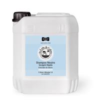 Shampoo perigot neutro secagem rapida 5l Shampoo perigot neutro secagem rapida 5l
