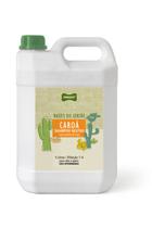 Shampoo perigot raízes do sertão caroá 5l Shampoo perigot raízes do sertão caroá 5l