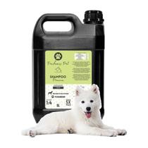 Shampoo Pet Cachorros Gatos Concentrado 5l Freshness Pet