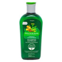 Shampoo Phytoervas Controle de Oleosidade Sem Sal com 250ml