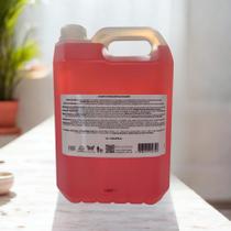 Shampoo Refil Galão/Bombona 5Lts Pitanga Realgems Shampoo Refil Galão/Bombona 5Lts Pitanga Realgems