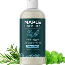 Shampoo Rosemary Tea Tree Mint Shampoo clareador para acúmulo e flocos com óleo de hortelã de limpeza profunda e óleo essencial de melaleuca para tratamento de couro cabeludo seco Sem parabenos e sulfatos (16 onças) Shampoo Rosemary Tea Tree Mint Shampoo clareador para acúmulo e flocos com óleo de hortelã de limpeza profunda e óleo essencial de melaleuca para tratamento de couro cabeludo seco Sem parabenos e sulfatos (16 onças)