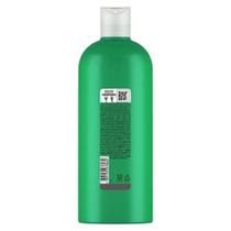 Shampoo Seda Cocriações Cachos Definidos 670ml Tamanho Família Shampoo Seda Cocriações Cachos Definidos 670ml Tamanho Família