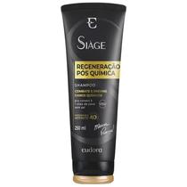 Shampoo Siàge Regeneração Pós Química 250mL Shampoo Siàge Regeneração Pós Química 250mL