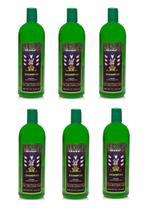 Shampoo Siete Machos URANIA 1L Pacote com 6 Shampoo Siete Machos URANIA 1L Pacote com 6