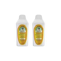Shampoo Soft Hair 500Ml Limpeza Profunda Ervas Nat-Kit C/2Un