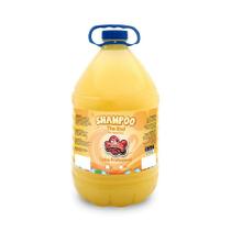 Shampoo The End 5L CatDog Shampoo The End 5L CatDog
