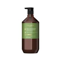 Shampoo Theorie Energizante de Chá Verde e Bambu 800mL Shampoo Theorie Energizante de Chá Verde e Bambu 800mL