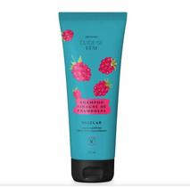 Shampoo Vinagre de Framboesa Cuide-se Bem Feira 230ml