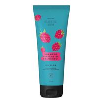Shampoo Vinagre De Framboesa Cuide-Se Bem Feira 230Ml