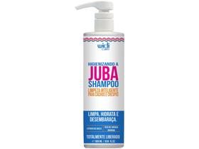 Shampoo Widi Care Higienizando a Juba 500ml