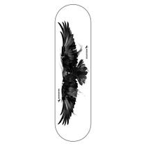 Shape Maple Canadense Solidcrow Wing Crow 8" Shape Maple Canadense Solidcrow Wing Crow 8"