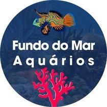 Shark Bag Bubble Magus Fb 01 - 100 Micras