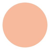 Shiseido uv protective compact foundation spf30 refil - new