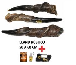 Shofar De Antílope Cefo / Eland / Tocha + Livro - De Israel Shofar De Antílope Cefo / Eland / Tocha + Livro - De Israel