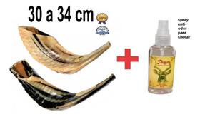 Shofar De Carneiro De Tocar + spray anti odor - De Israel