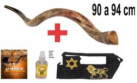 Shofar De Chifre Antilope + Livro + Capa - De Israel 90 a 94 cm - barsheshet riback