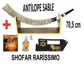 Shofar De Chifre Antilope SABLE - Importado de Israel - BARSHESHET RIBACK