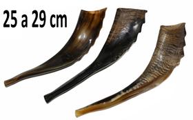 Shofar De Chifre De Cabra Italiana 25 a 29cm - jerusalém shofar