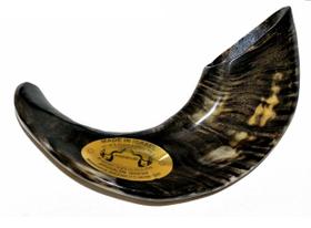 Shofar De Chifre De Carneiro De Tocar De Israel/Dark 30-34Cm