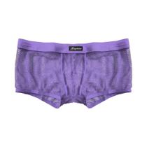Shorts Boxer Masculinos Em Malha Respirável, Roupa Íntima Transparente E Sexy