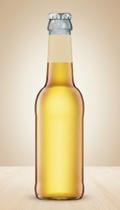 Sidra de Maçã Importada 330ml