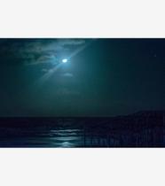 Silêncio Infinito 04