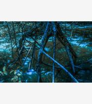 Silêncio Infinito 05