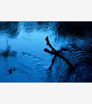 Silêncio Infinito 07