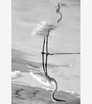 Silêncio Infinito 12