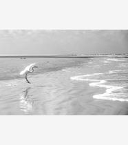 Silêncio Infinito 14