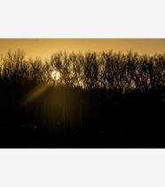 Silêncio Infinito 22