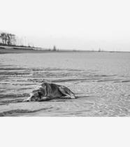 Silêncio Infinito 23