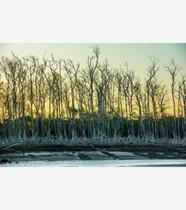 Silêncio Infinito 24