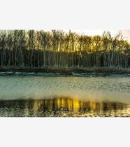 Silêncio Infinito 25