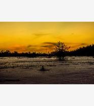 Silêncio Infinito 29