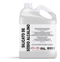 Silicato De Sódio Alcalino Galão 5 Litros Produtos Limpeza