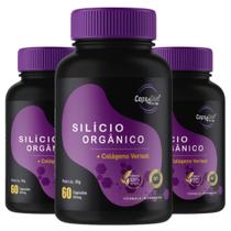 Silicio Orgânico Caps4skin + Colágeno Verisol 3 und Silicio Orgânico Caps4skin + Colágeno Verisol 3 und