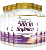 Silício Orgânico E Vitaminas 6 X 60 Cápsulas Flora Nativa