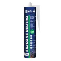 Silicone Neutro Preto 250g IIESA