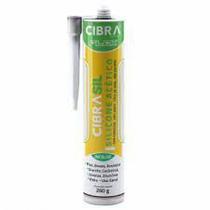 Silicone para Vedação Fungicida e Antimofo - INCOLOR - 260g