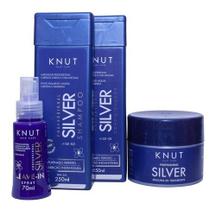 Silver Knut Kit Tratamento Para Cabelos Loiros E Com Mechas