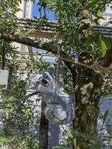 Simulação de decoração de pátio de jardim Koala Resin Animal