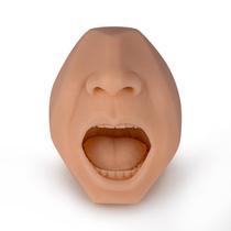 Simulador de Coleta de Swab SimCoach Modelo Nasal e de Garganta Simulador de Coleta de Swab SimCoach Modelo Nasal e de Garganta