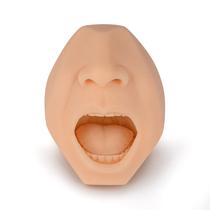 Simulador de Coleta de Swab SimCoach Modelo Nasal e de Garganta Simulador de Coleta de Swab SimCoach Modelo Nasal e de Garganta