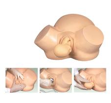 Simulador de treinamento de obstetrícia - 4D Anatomy