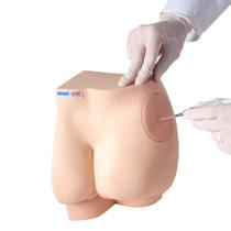 Simulador Médico De Sonda Retal E Injeção Intramuscular Simulador Médico De Sonda Retal E Injeção Intramuscular